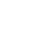 Play Icon